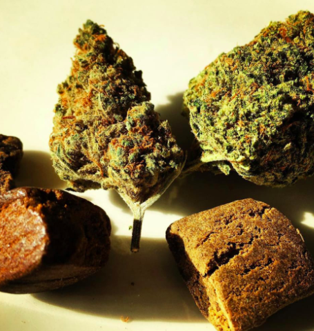 Hash Vs Weed: How to tell the difference