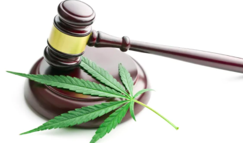 Bill Proposed in Senate to Legalize Marijuana