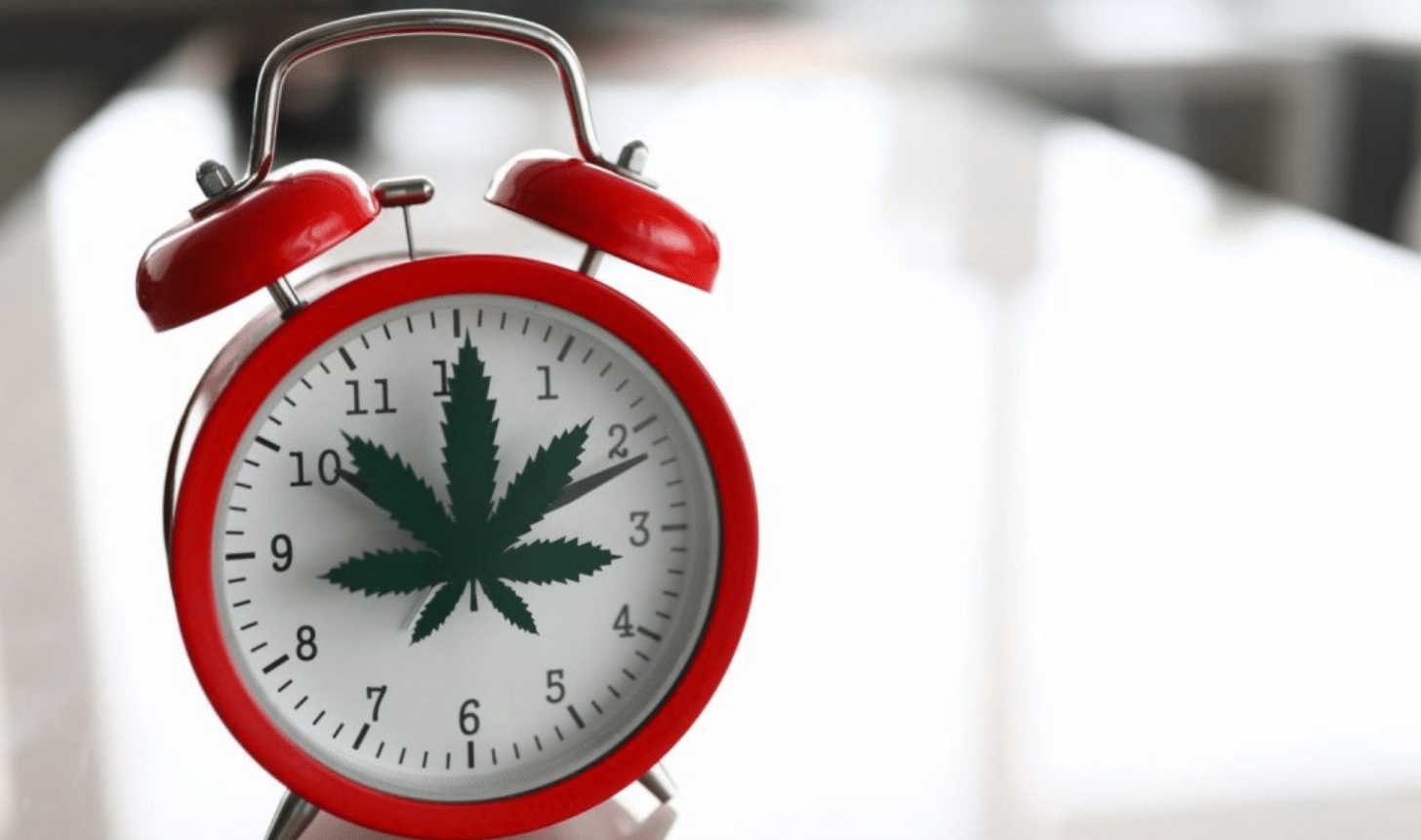 Cannabis tolerance and understanding your own