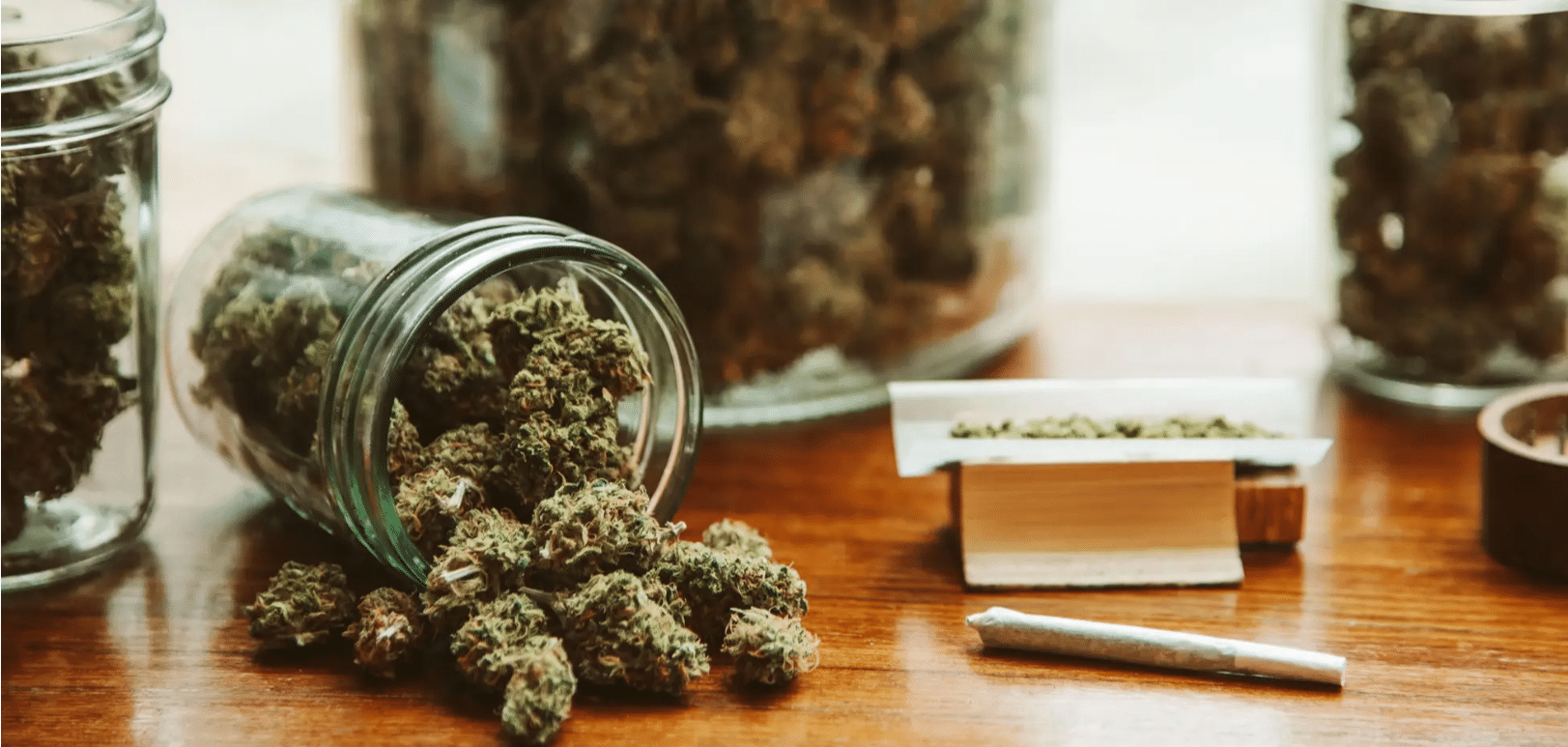 Storing cannabis the correct way to make it last longer